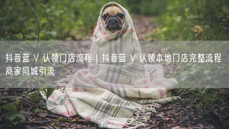 抖音蓝 V 认领门店流程｜抖音蓝 V 认领本地门店完整流程 商家同城引流