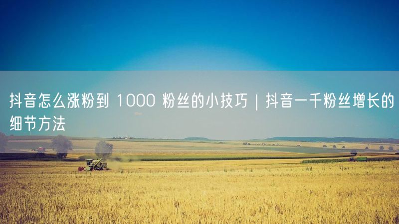 抖音怎么涨粉到 1000 粉丝的小技巧｜抖音一千粉丝增长的细节方法