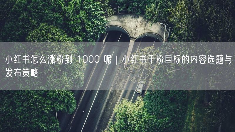 小红书怎么涨粉到 1000 呢｜小红书千粉目标的内容选题与发布策略