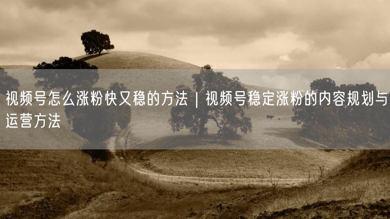 视频号怎么涨粉快又稳的方法｜视频号稳定涨粉的内容规划与运营方法