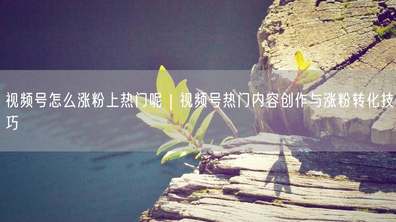 视频号怎么涨粉上热门呢｜视频号热门内容创作与涨粉转化技巧