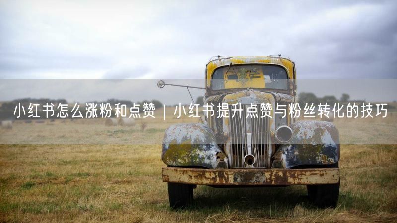 小红书怎么涨粉和点赞｜小红书提升点赞与粉丝转化的技巧